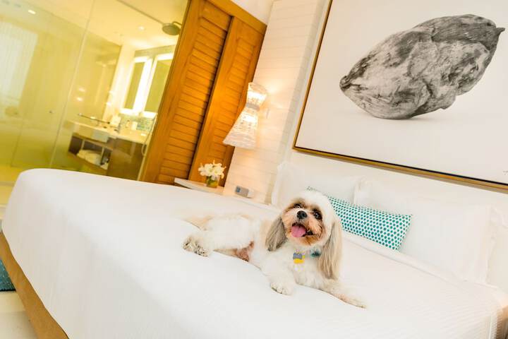 Pet Friendly 180 of 293
