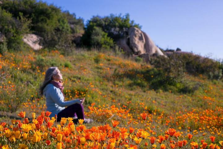 Outdoor Activities 25 of 36