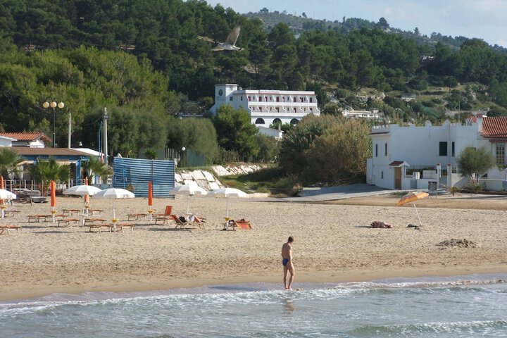Beach 36 of 41