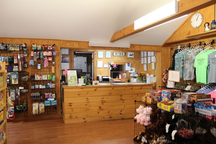 Gift Shop 8 of 17