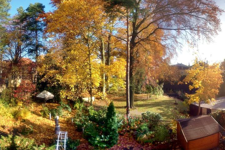 View from room