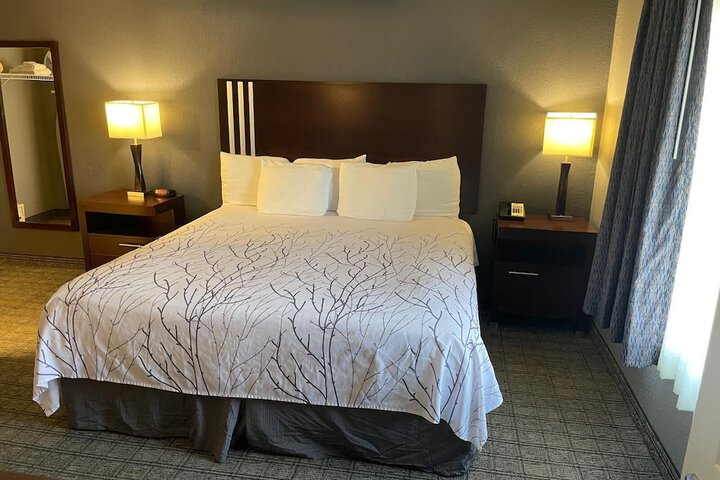 1 King Bed Accessible (31 of 31)