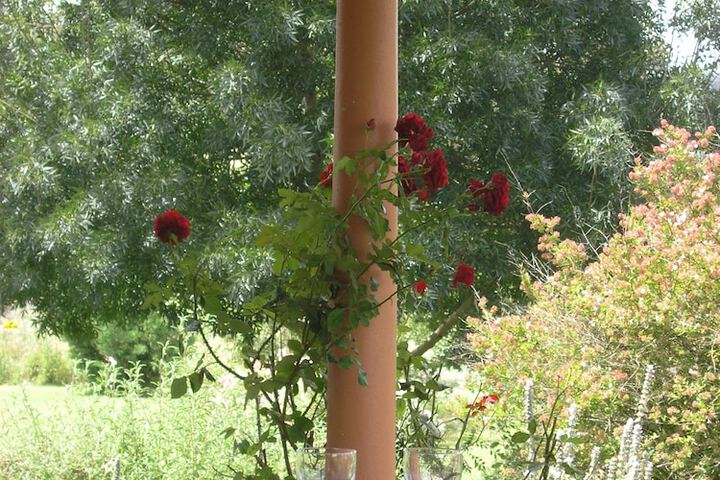 Terrace/Patio 18 of 20