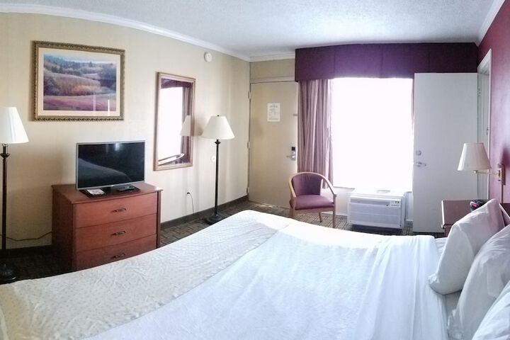 1 King Bed (3 of 10)
