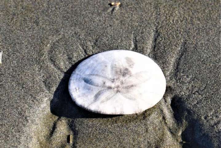 Hotel Interior 43 of 55