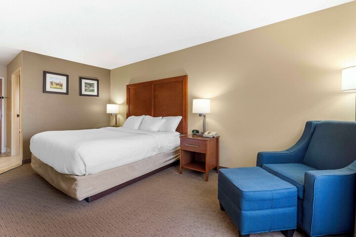 1 King Bed (12 of 32)
