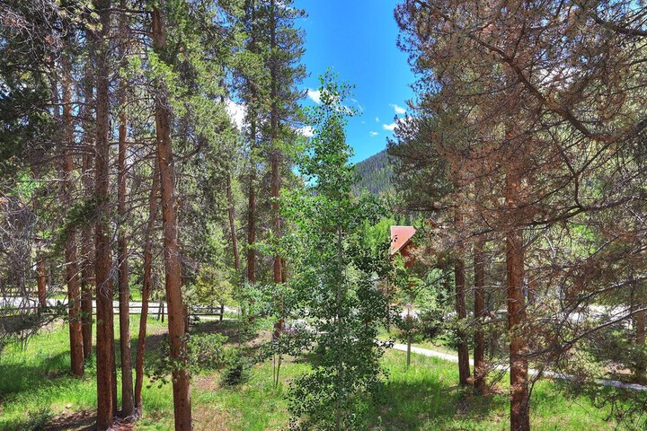 Property Grounds 19 of 23