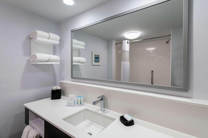 1 King Mobility Hearing Accessible with Standard Shower (10 of 13)
