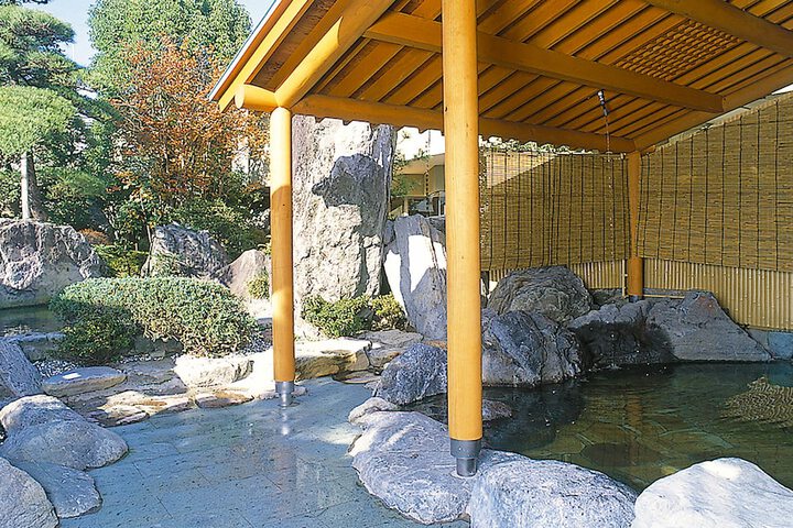 Wellness Treatments