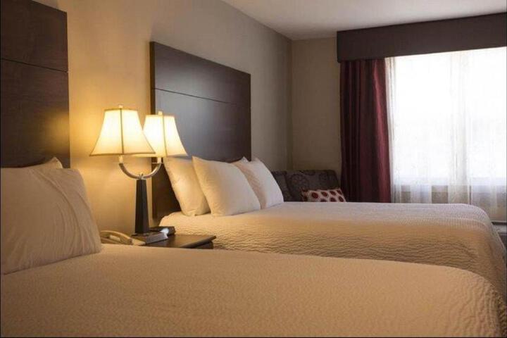 2 Double Beds (3 of 5)