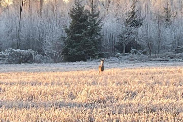 General 6 of 50