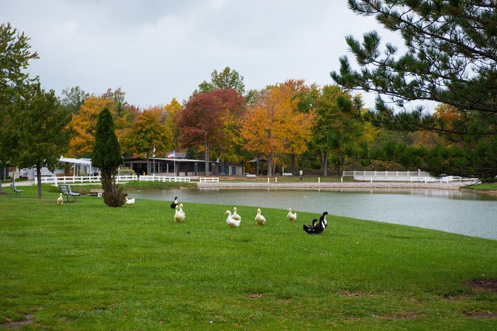 Property Grounds 28 of 28