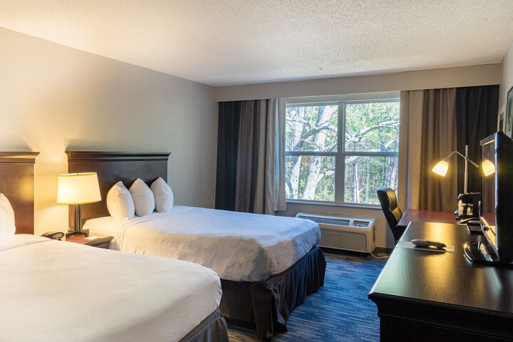 2 Queen Beds (1 of 4)