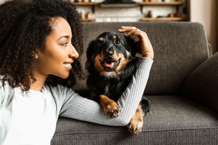 Pet-friendly
