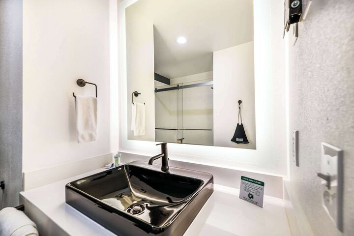 1 King Bed Kitchenette Accessible (6 of 15)