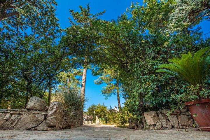 Spa and Wellness Pictures