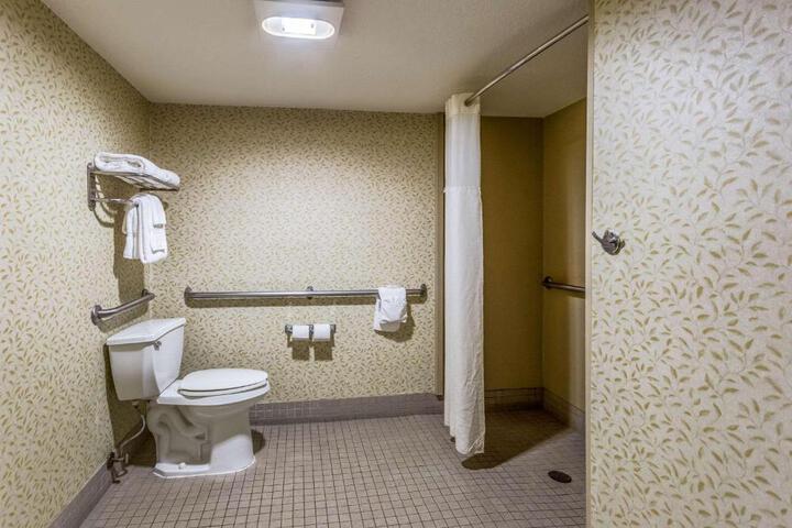 1 Queen Bed Accessible (7 of 16)