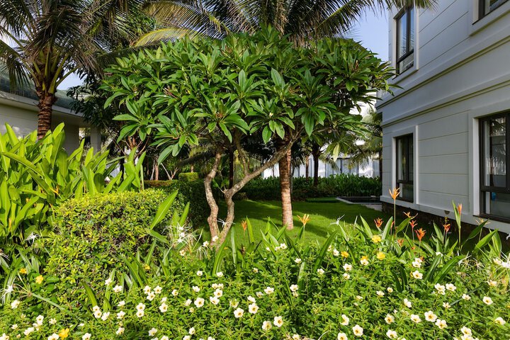 Hotel Exterior 146 of 165