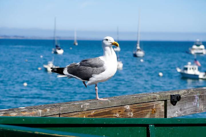 Hotel 95 of 102