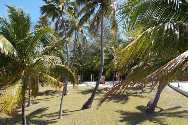 Property Grounds 37 of 44