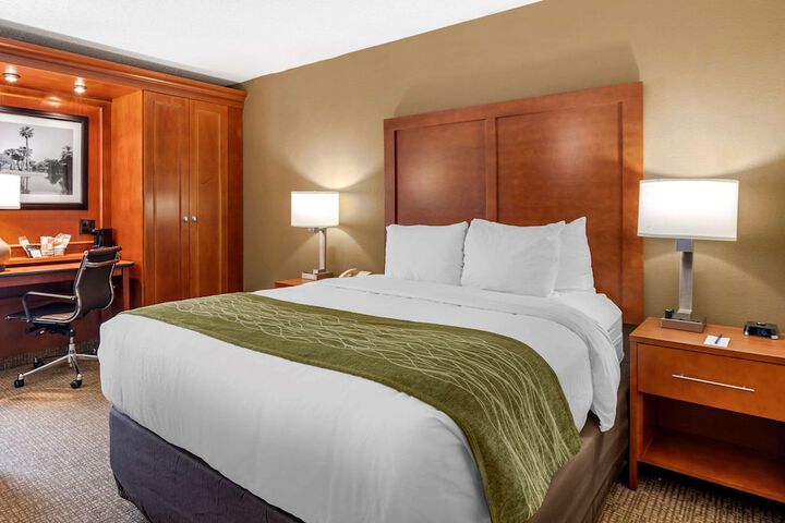 Queen Bed Accessible (8 of 10)