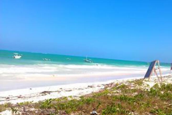 Beach 2 of 6