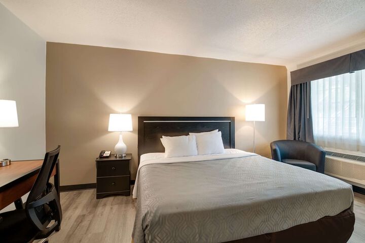 1 King Bed (6 of 9)
