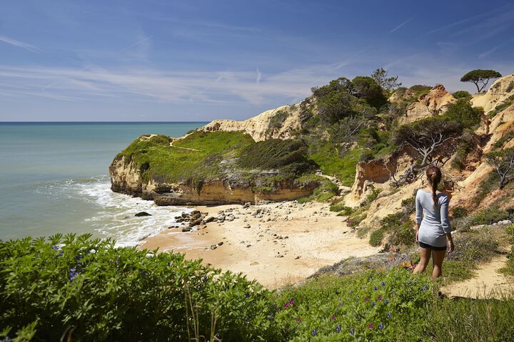 Beach 66 of 80