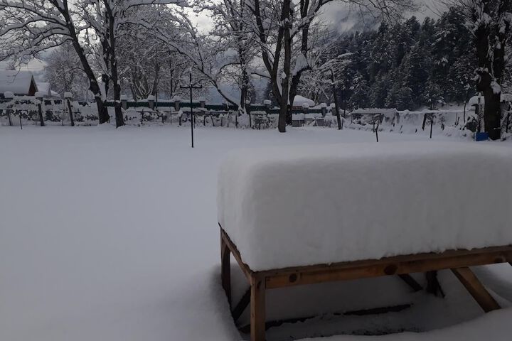 Property Grounds 57 of 81