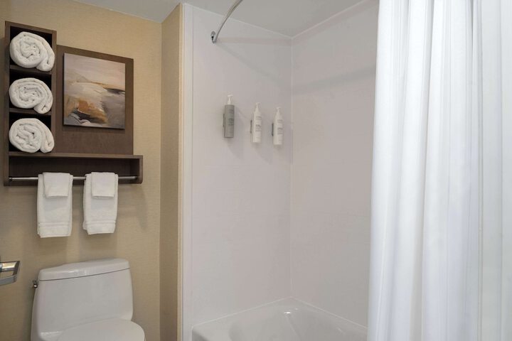 1 King Bed 1 Bedroom Suite (16 of 16)