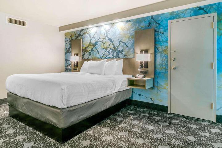1 King Bed Exterior Entrance (3 of 19)