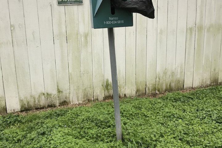 Pet-friendly