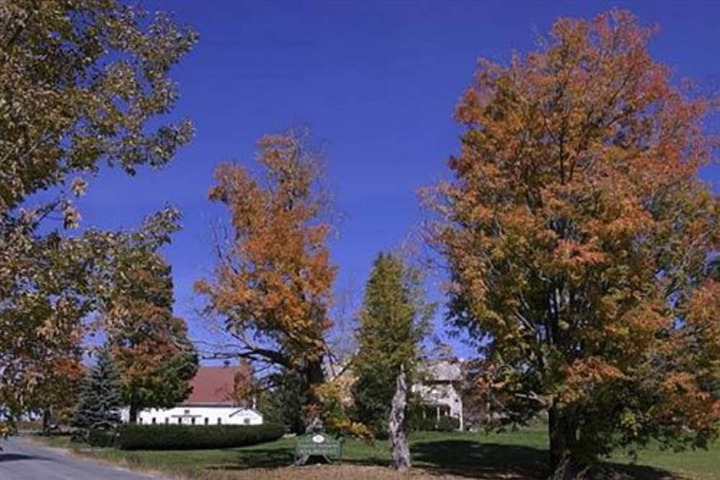 Property Grounds 78 of 100