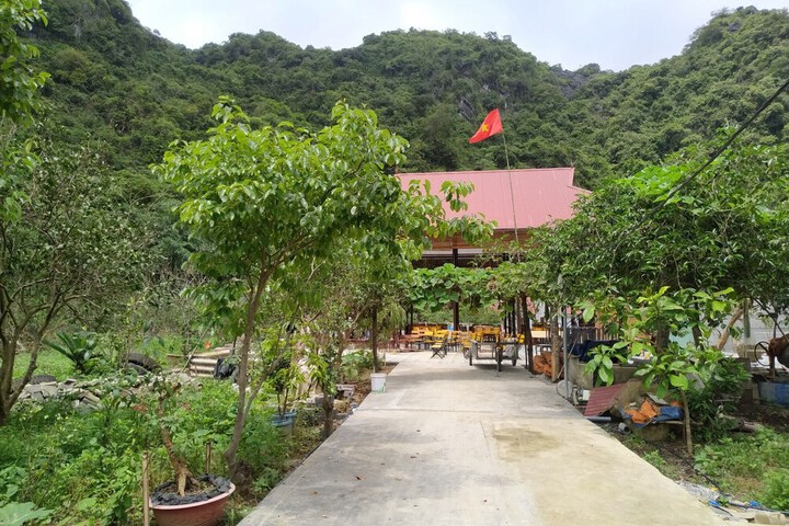 Property Grounds 18 of 25