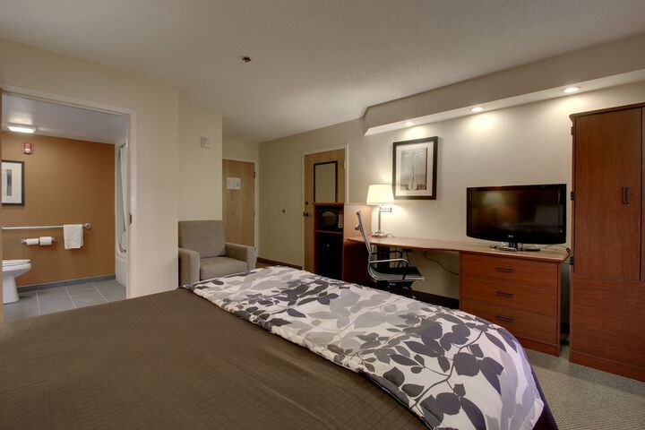 1 Queen Bed Accessible (9 of 10)