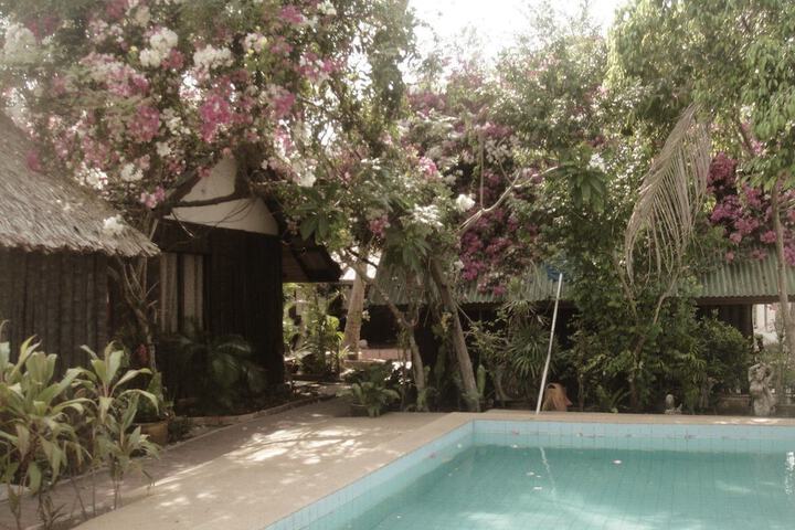 Hotel with Pool