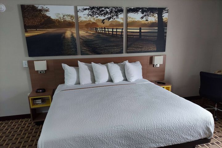 1 King Bed (10 of 11)