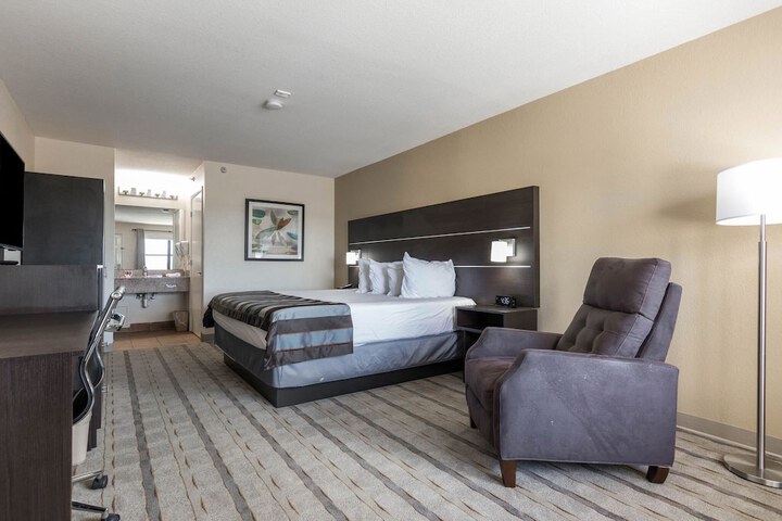 1 King Bed Mobility Hearing Impaired Accessible Room Roll in Shower (10 of 24)