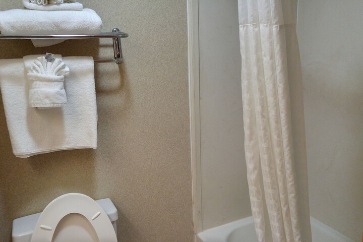 1 King Bed Accessible (7 of 32)