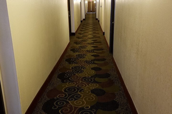 Ballroom/Hall 20 of 26