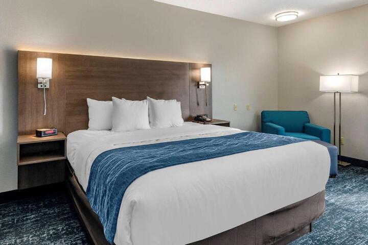 1 King Bed Pet Friendly (5 of 13)