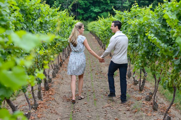 Vineyard