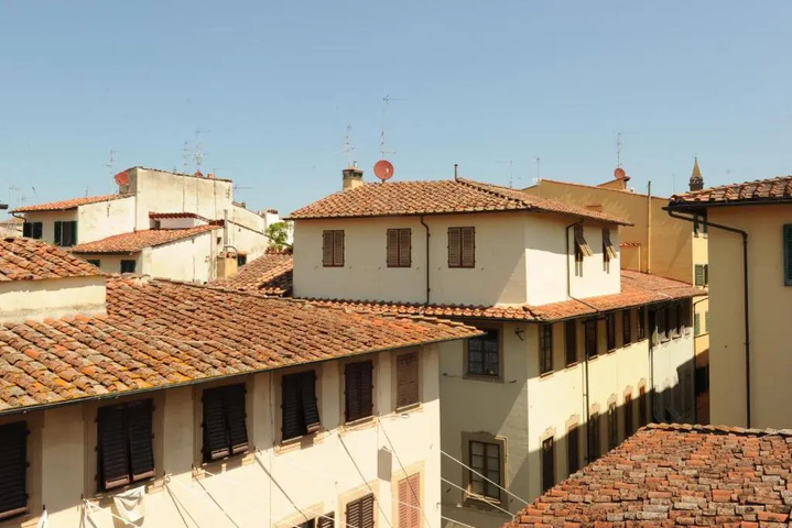 Image of Acacia Firenze - Ciclamino