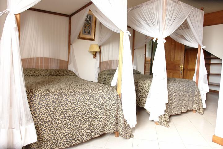 Room 7 of 26