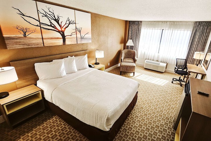 1 Queen Bed (4 of 4)