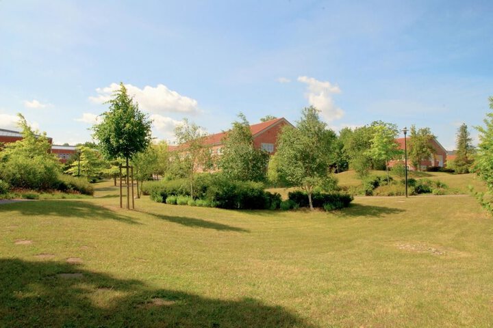 Property Grounds 41 of 50