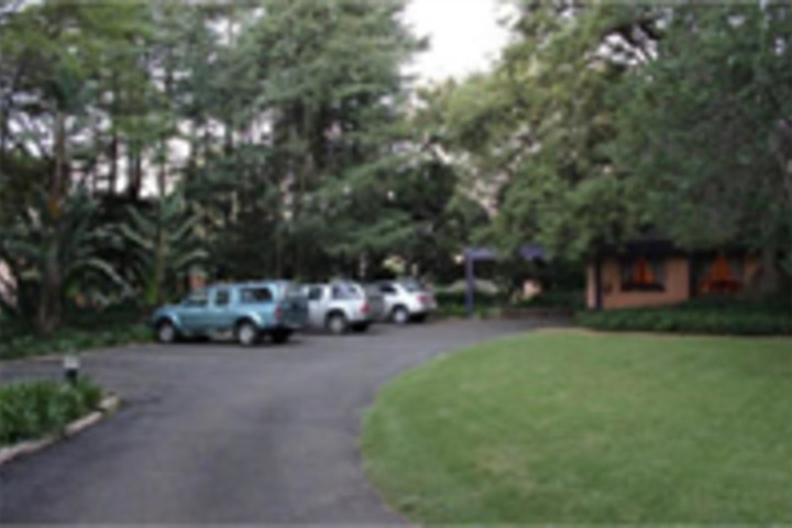 BIG TREE B AND B AND GUEST HOUSE