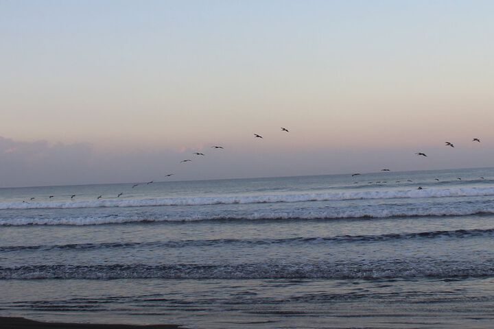 Beach 29 of 39