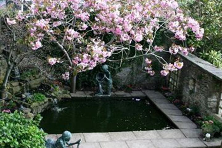 Property Grounds 24 of 26