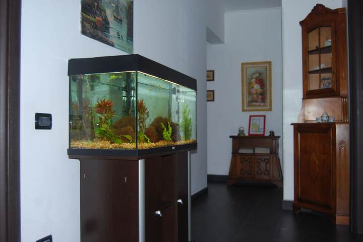 Hotel Interior 25 of 44